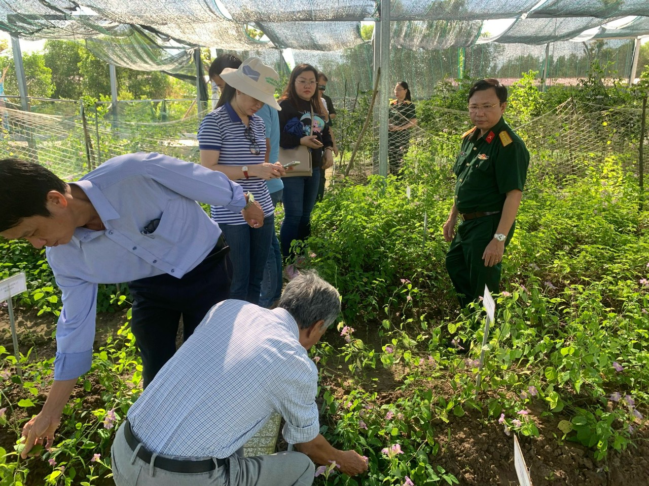 Nghiệm thu nhiệm vụ KH&CN cấp Thành phố Hồ Chí Minh: “Nghiên cứu chọn và trồng thử nghiệm một số loài rau có khả năng chịu mặn  tại Cần Giờ, TP. Hồ Chí Minh”