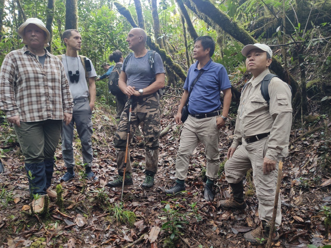 Tổ chức khóa đào tạo về nghiên cứu sinh thái rừng nhiệt đới cho các nhà khoa học trẻ tại Vườn Quốc gia Bidoup-Núi Bà