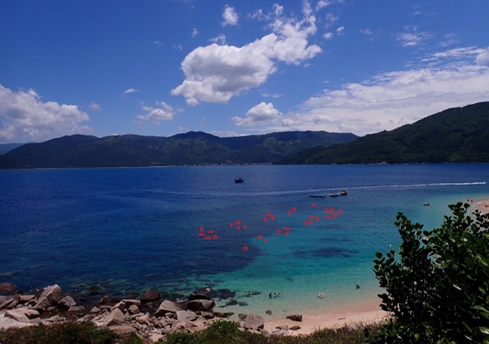 Nghiệm thu nhiệm vụ nghiên cứu tạo lập vườn san hô nhân tạo sử dụng giá thể reefball