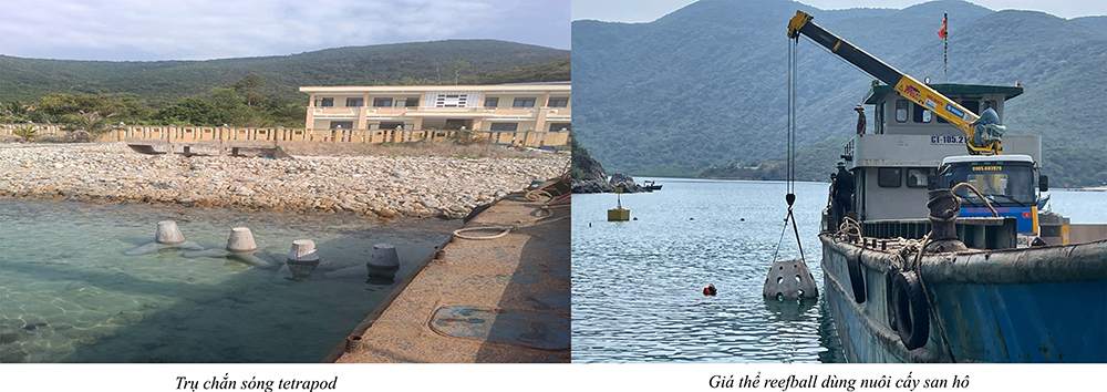 Bê tông geopolyme sử dụng cát san hô, đá san hô và nước biển cho công trình biển đảo - Hướng đi bền vững từ nghiên cứu đến thực tiễn