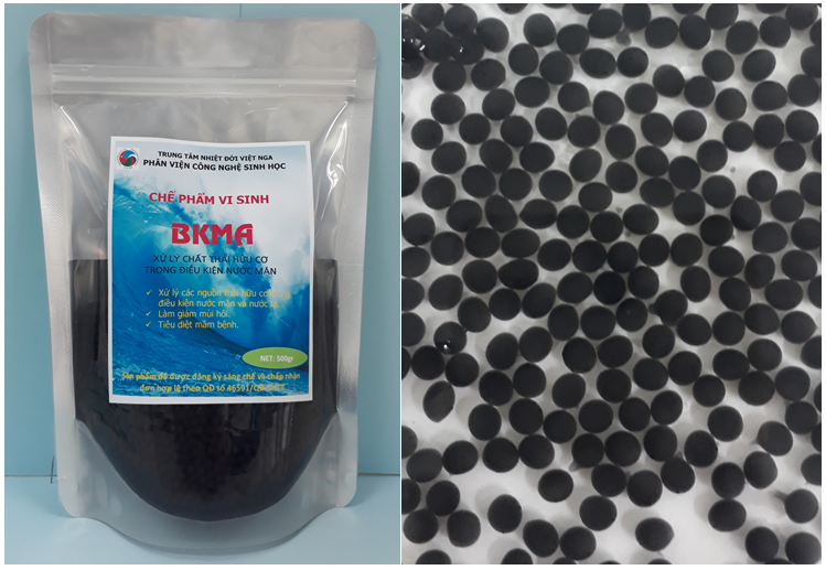 Chế phẩm vi sinh BKMA 
