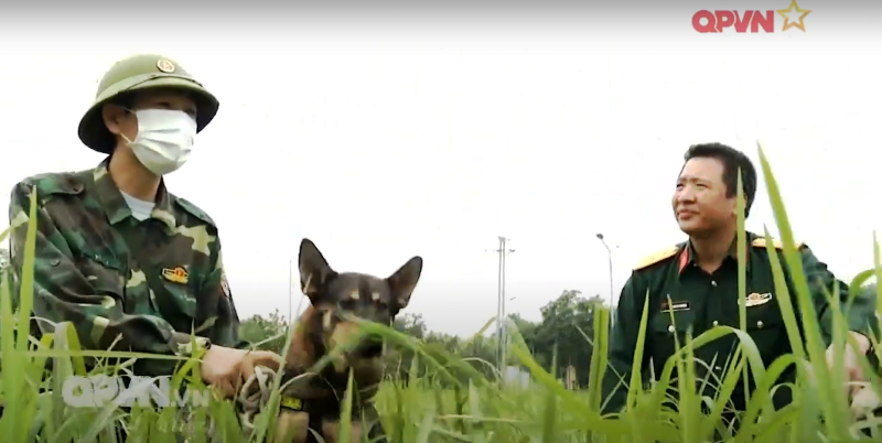 Chó nghiệp vụ phiên bản Việt