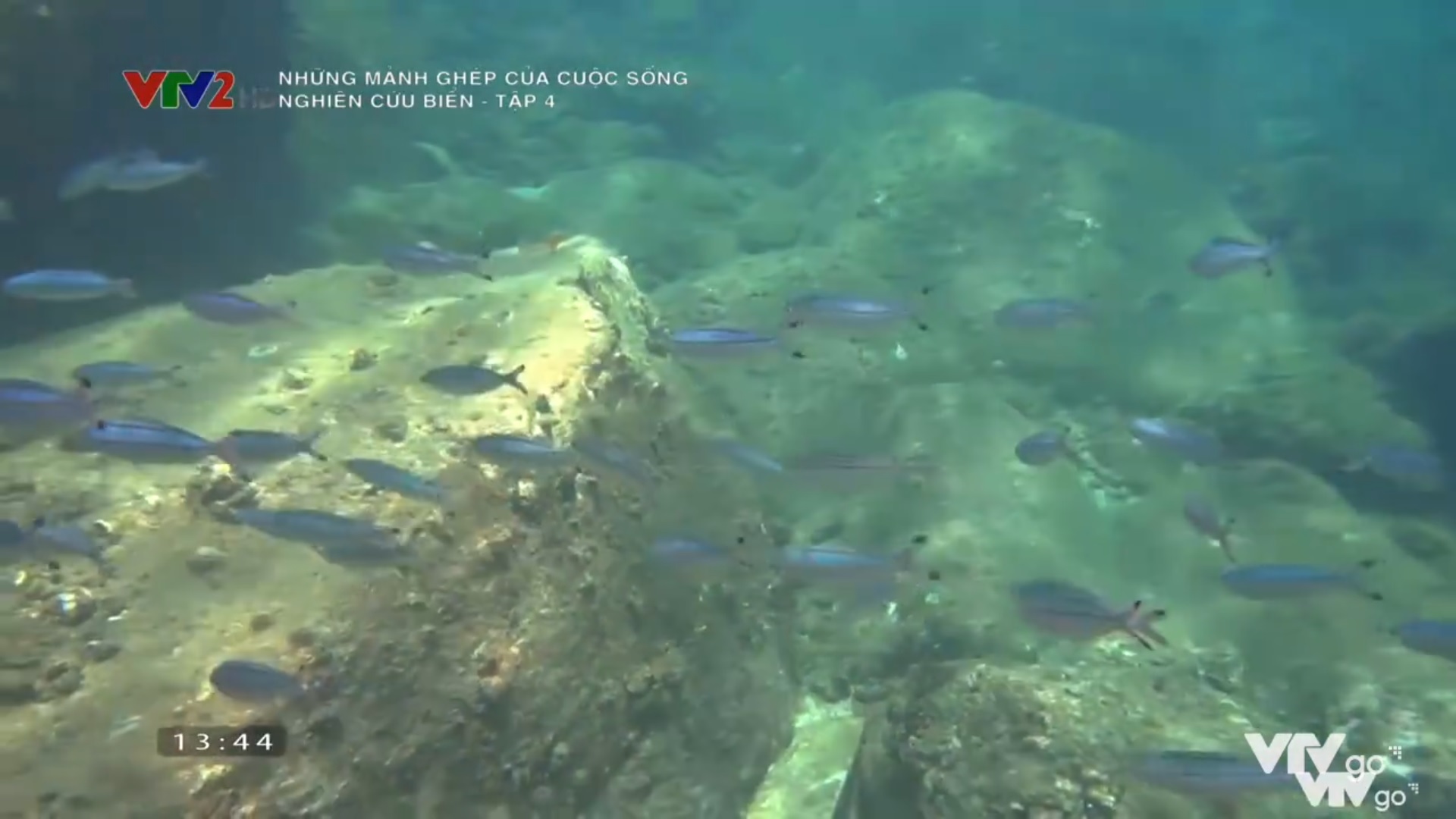 Những mảnh ghép của cuộc sống - Nghiên cứu biển - Tập 4 - Hòn đá ở Từ Nham