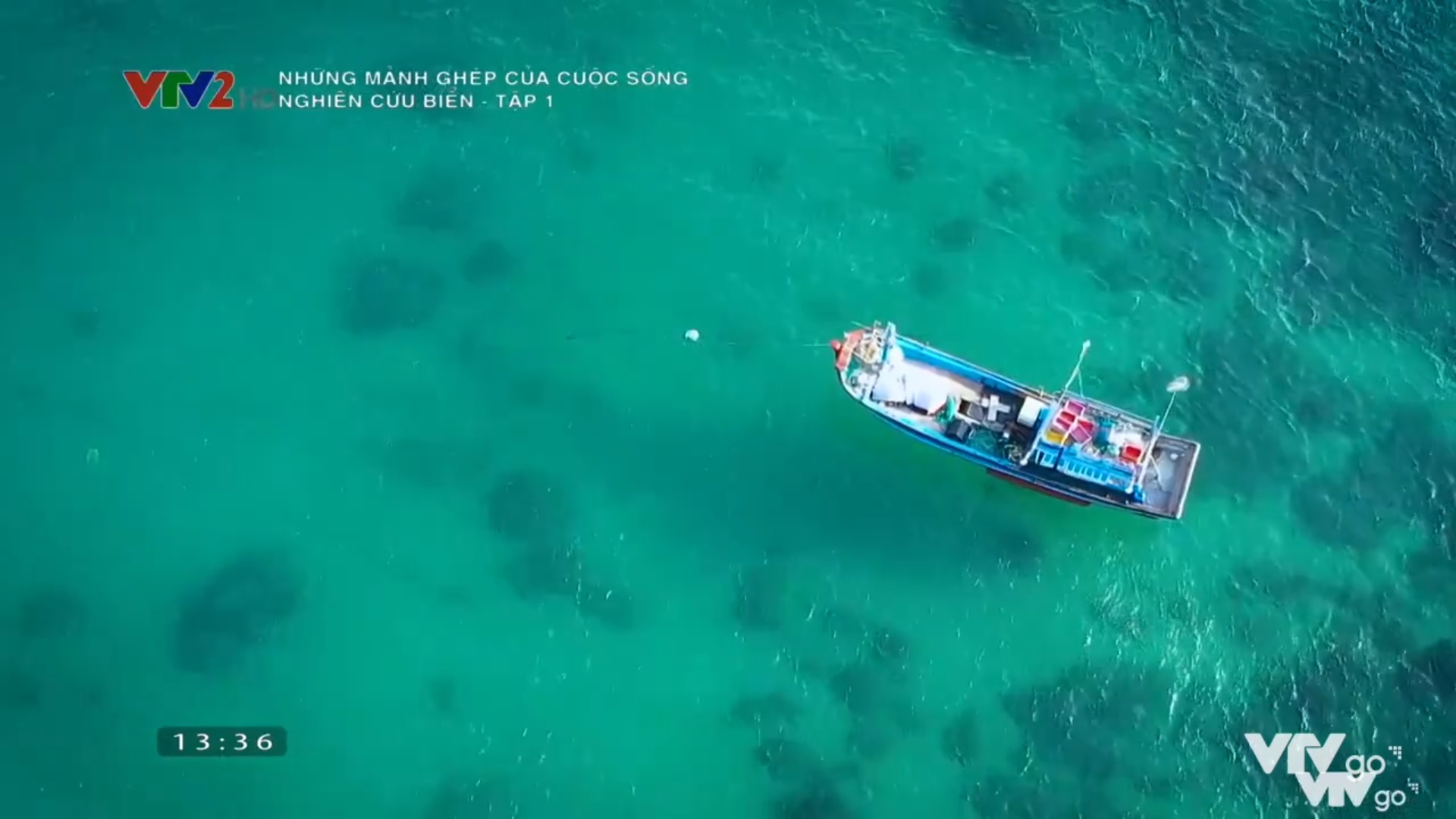 Những mảnh ghép của cuộc sống - Nghiên cứu biển - Tập 1 - Hòn Yến