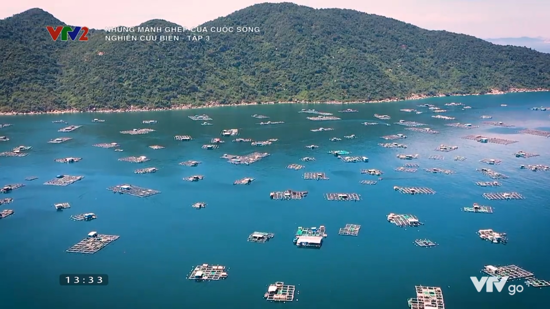 Những mảnh ghép của cuộc sống - Nghiên cứu biển - Tập 3 - Mối liên hệ