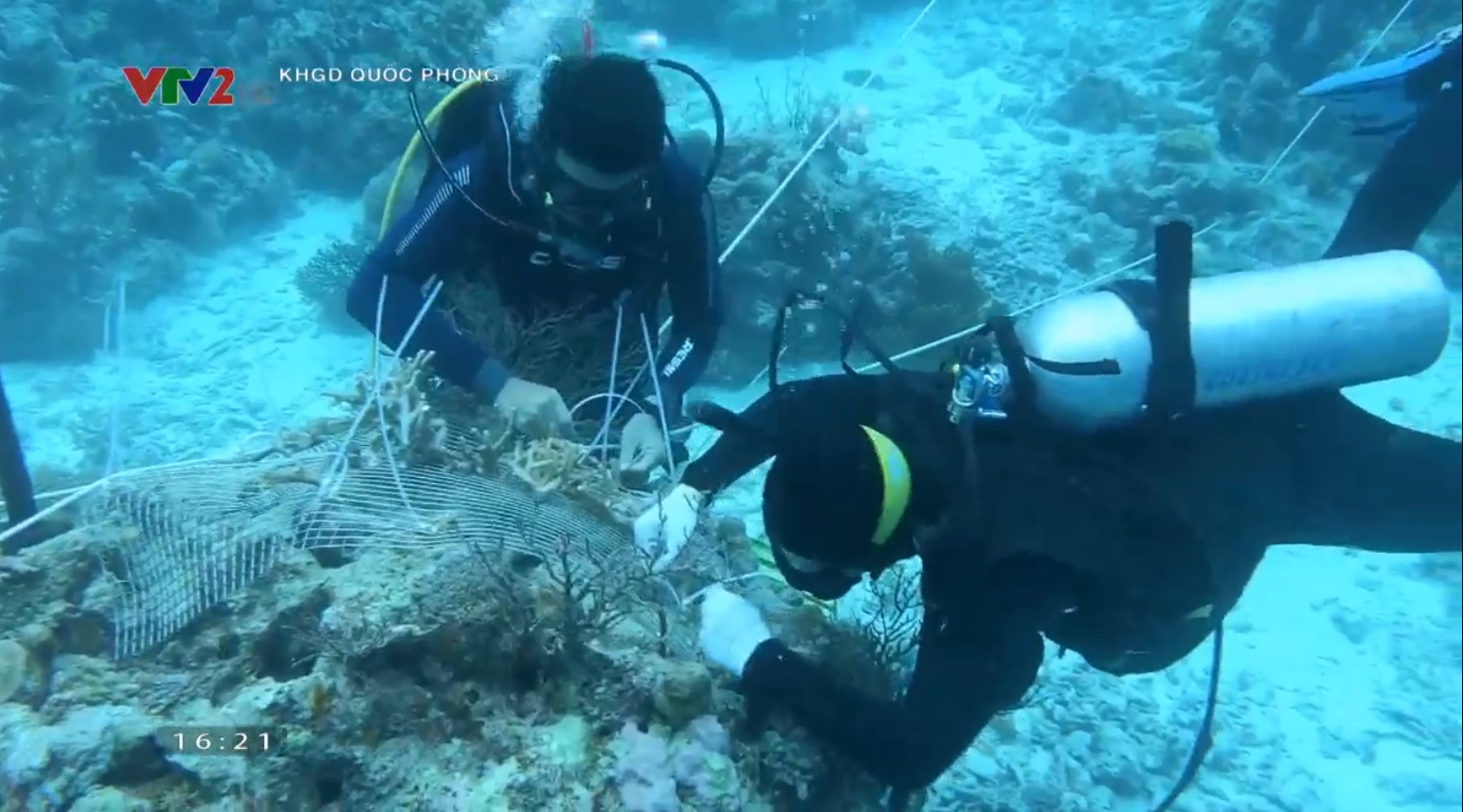 Trung tâm Nhiệt đới Việt - Nga góp phần bảo tồn rạn san hô