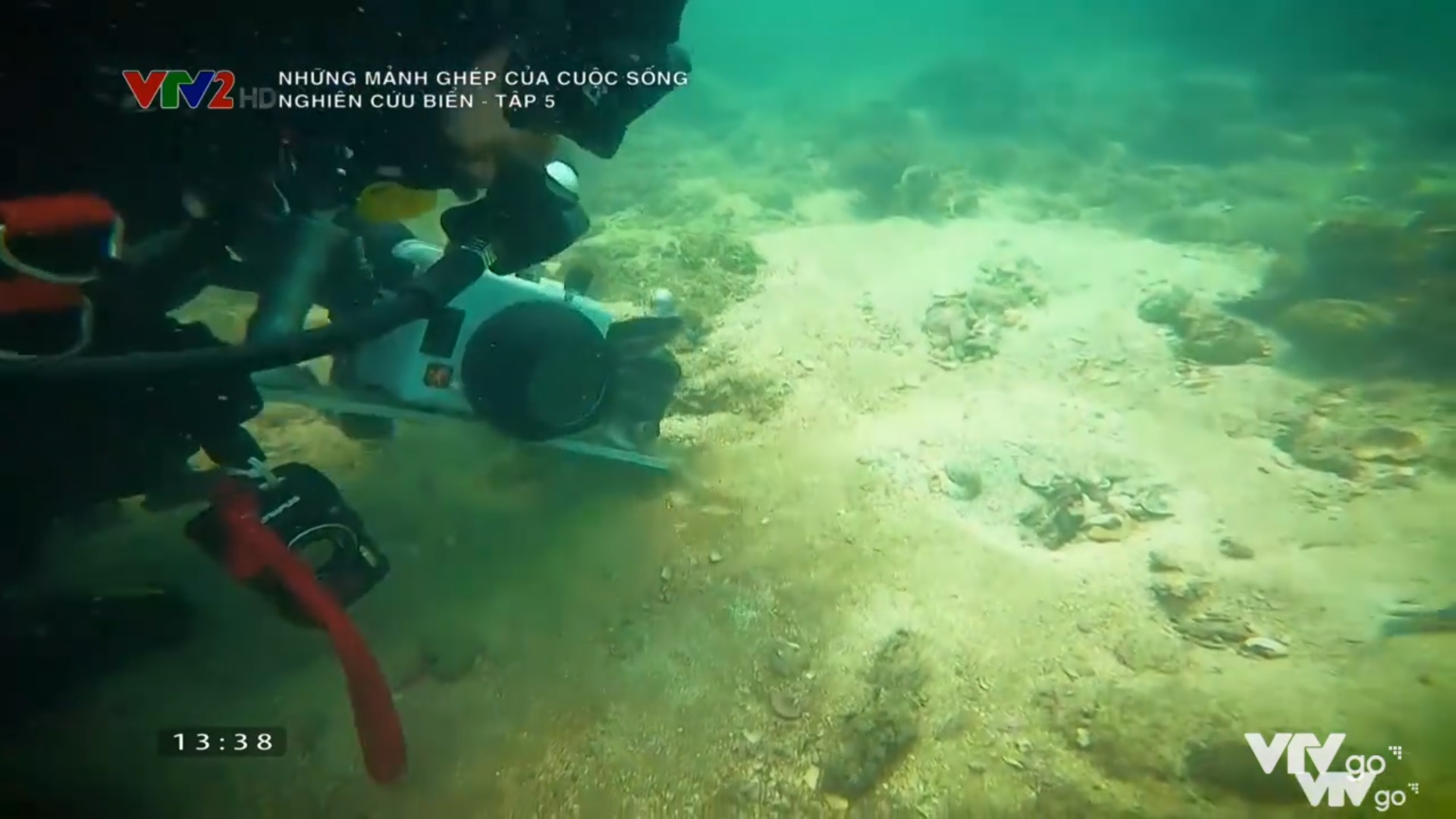 Những mảnh ghép của cuộc sống - Nghiên cứu biển - Tập 5 - Vịnh biển phía Bắc