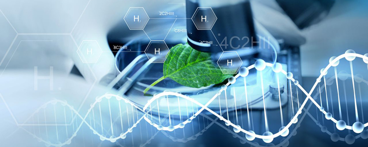 Phân viện Công nghệ sinh học