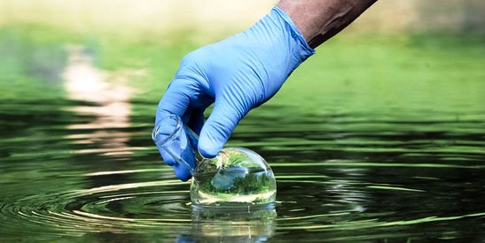 Phân viện Hóa - Môi trường