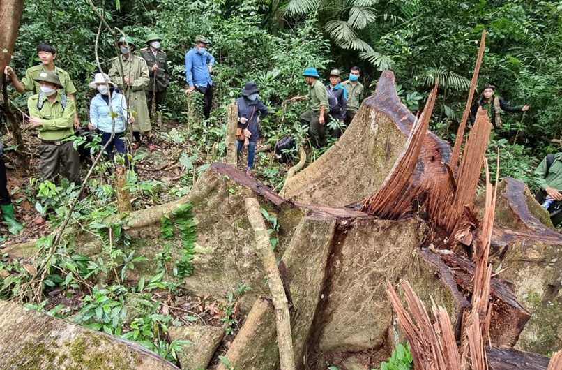Sức khỏe sinh thái: Có đáng để quan tâm?