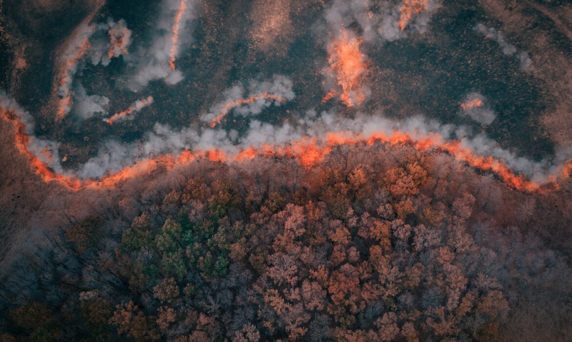 Tại sao sự sụp đổ của hệ sinh thái có thể xảy ra sớm hơn so với dự kiến?