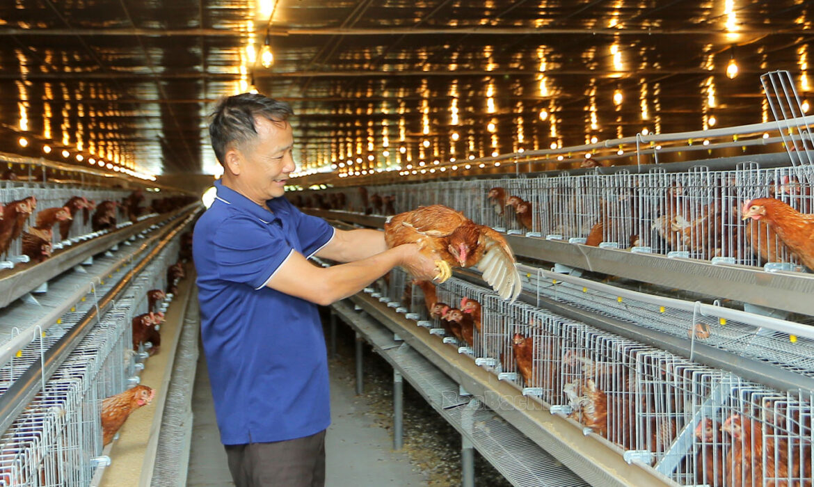 Nhiều dịch bệnh trên động vật mới nổi lưu hành khắp Đông Nam Á