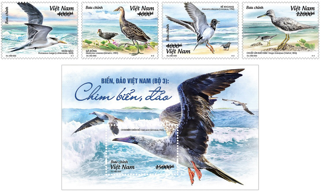 Giới thiệu Bộ tem “Biển, đảo Việt Nam (bộ 3): Chim biển, đảo”