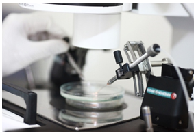 Công nghệ tế bào động vật và ứng dụng trong sinh học hiện đại