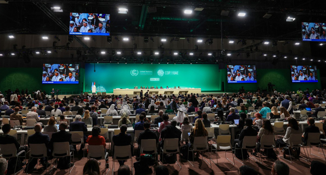 COP28 tập trung đặc biệt vào các giải pháp dựa vào tự nhiên