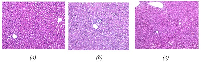 cầm máu khẩn cấp, PV-CNSH