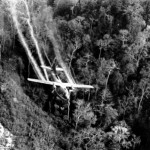 Nhập môn Độc học nhiệt đới