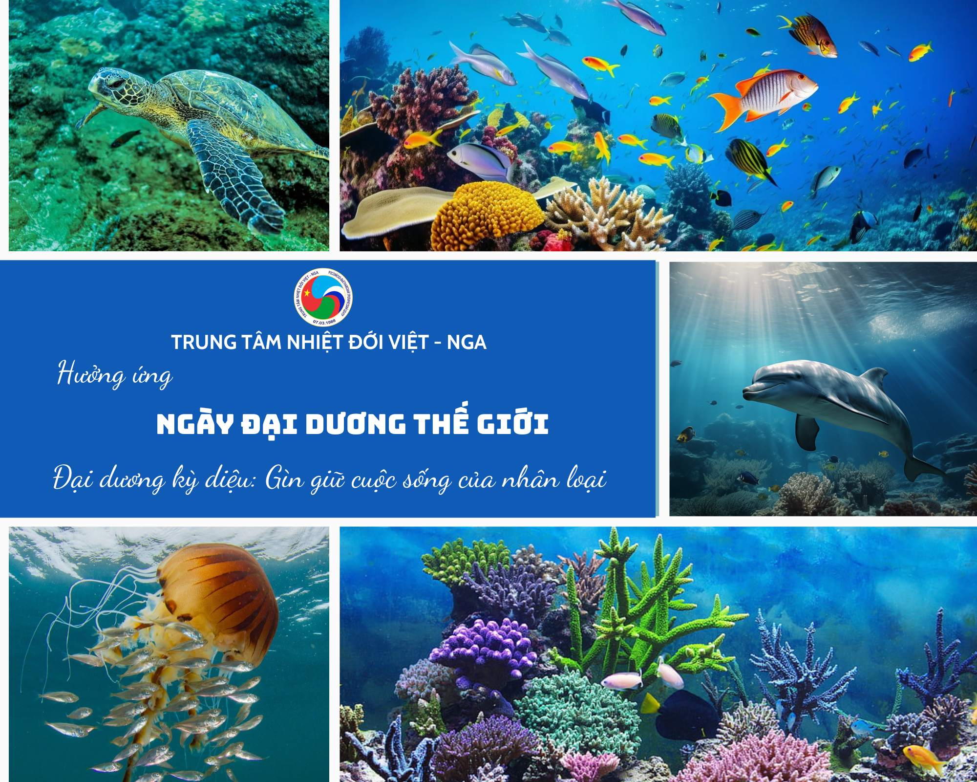 Trung tâm Nhiệt đới Việt - Nga tổ chức các hoạt động Tuần lễ Biển và Hải đảo Việt Nam và hưởng ứng Ngày Đại dương thế giới năm 2025