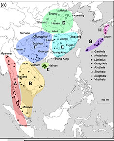 Nghiên cứu mối quan hệ phát sinh loài, lịch sử tiến hóa và địa sinh học của nhóm Nhện cổ Liphistiid