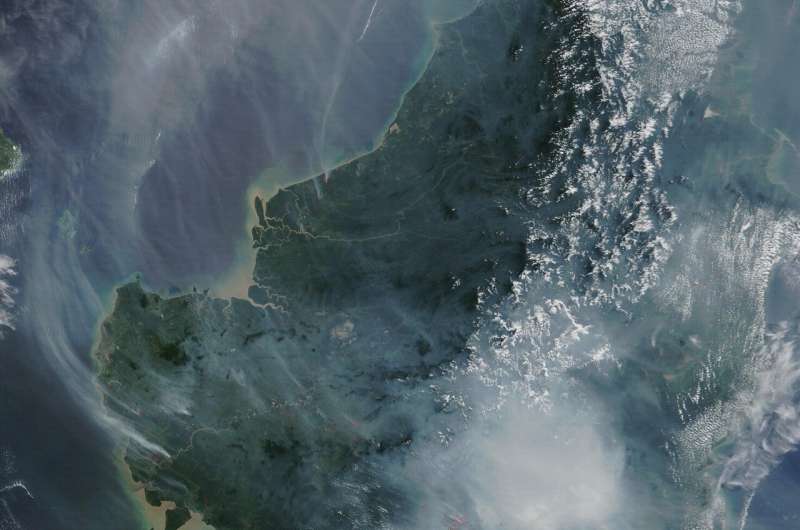 Trồng phục hồi rừng trên những khu vực đã bị khai thác bằng đa dạng thành phần loài cây con sẽ đẩy nhanh quá trình phục hồi