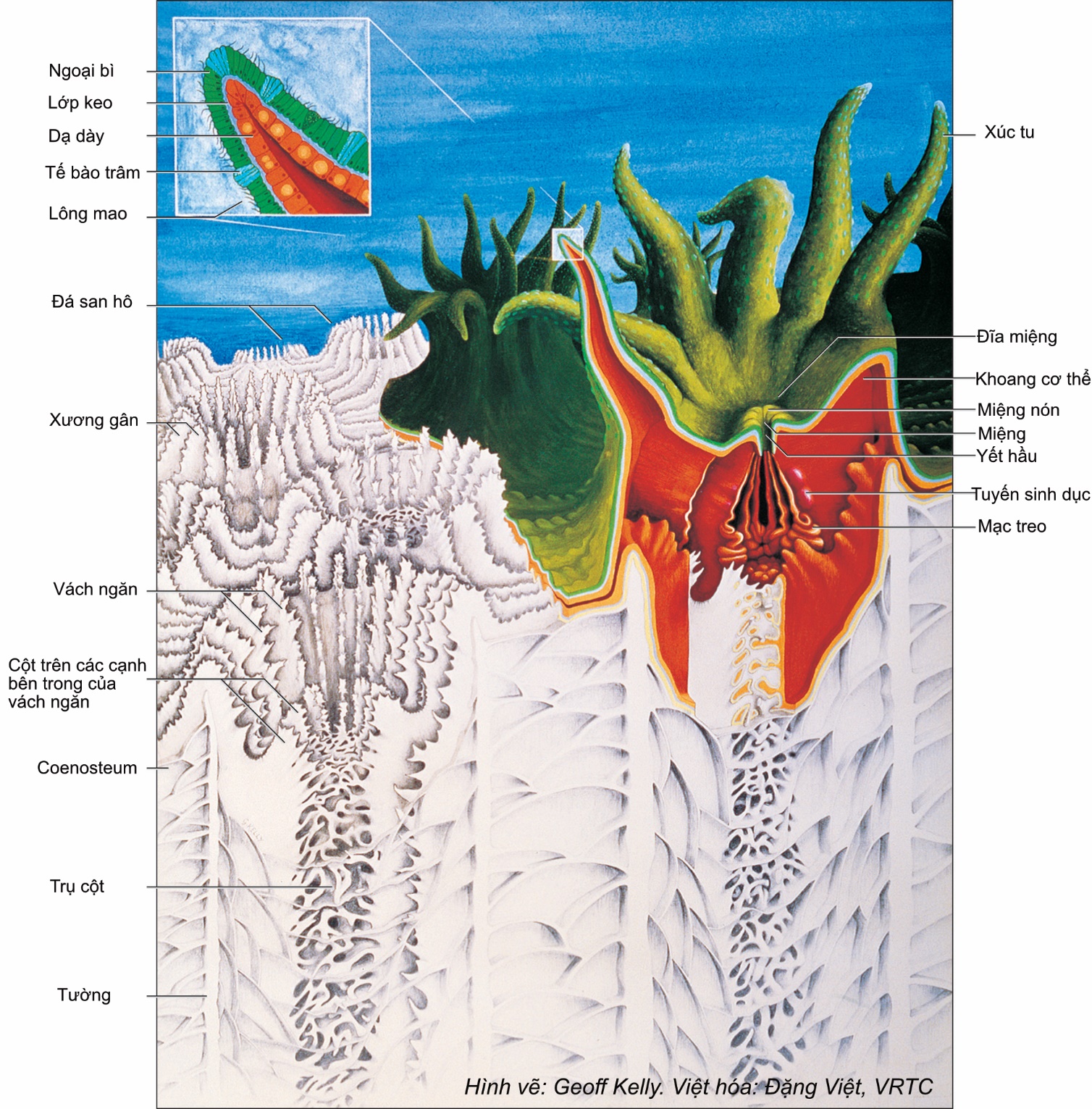 Description: A picture containing text, drawing, child art, illustrationDescription automatically generated