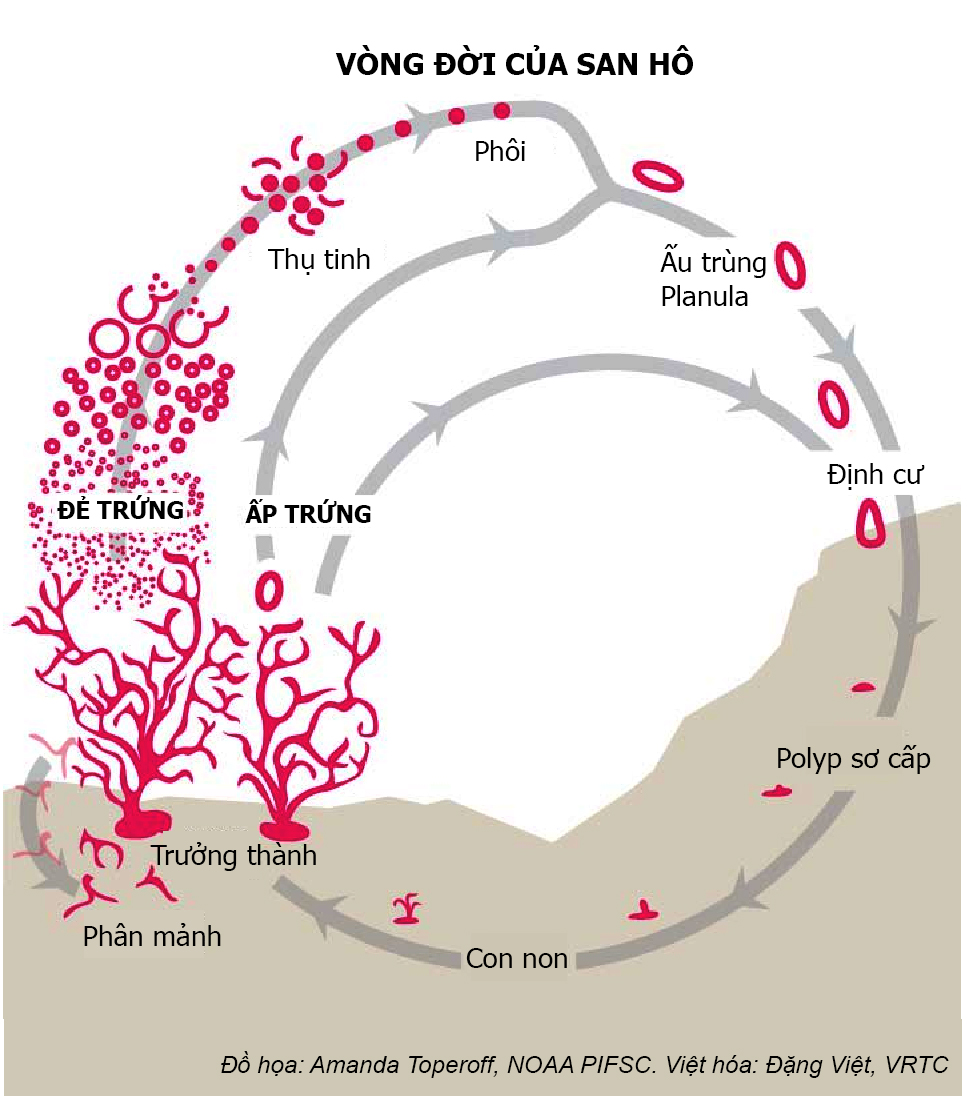 Description: A picture containing text, map, designDescription automatically generated