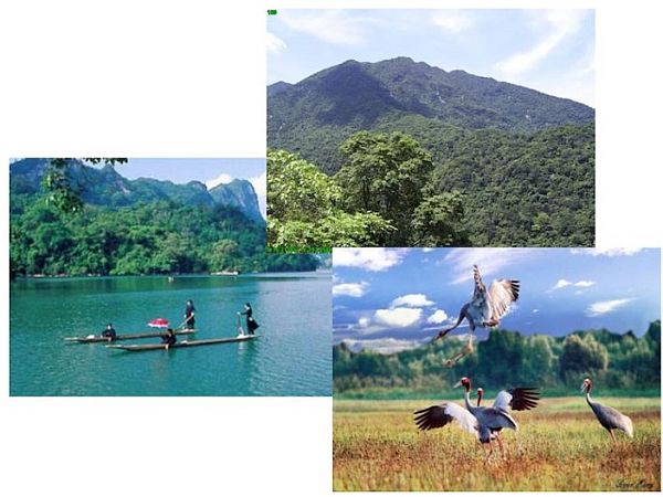 Báo cáo đánh giá hệ sinh thái quốc gia