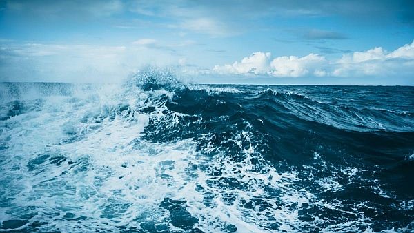 Phát hiện hàng nghìn loại virus mới trong đại dương